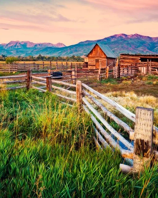 Tall green grass and a weathered log fence beside a water channel, with an old log barn and mountains at sunset