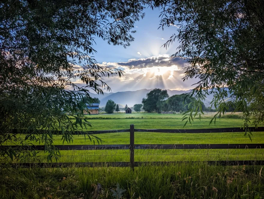Sunlight breaks through clouds over a fenced green pasture and a small barn, framed by willow branches