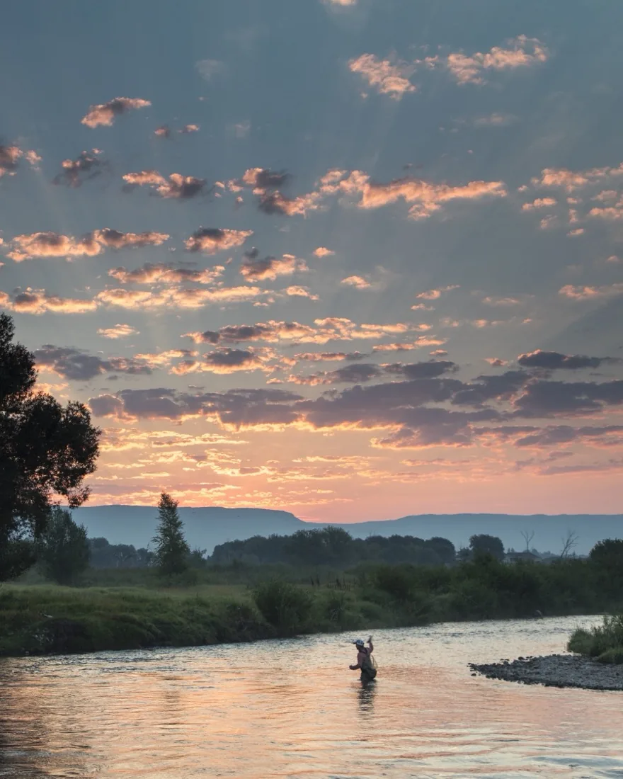 An angler wading a river under a glowing pink sky, with a tall tree on the bank and mountains on the horizon